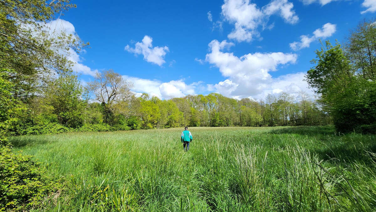 Maison à SAINT-HILAIRE-DE-RIEZ