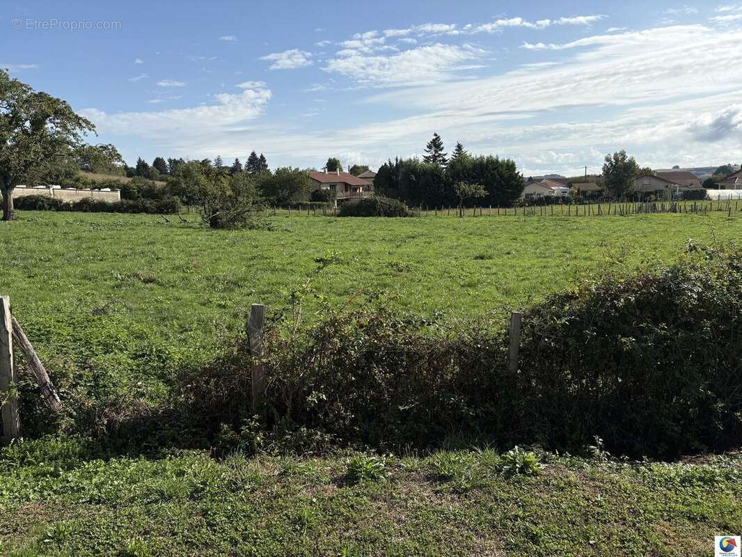 Maison à NIVOLAS-VERMELLE