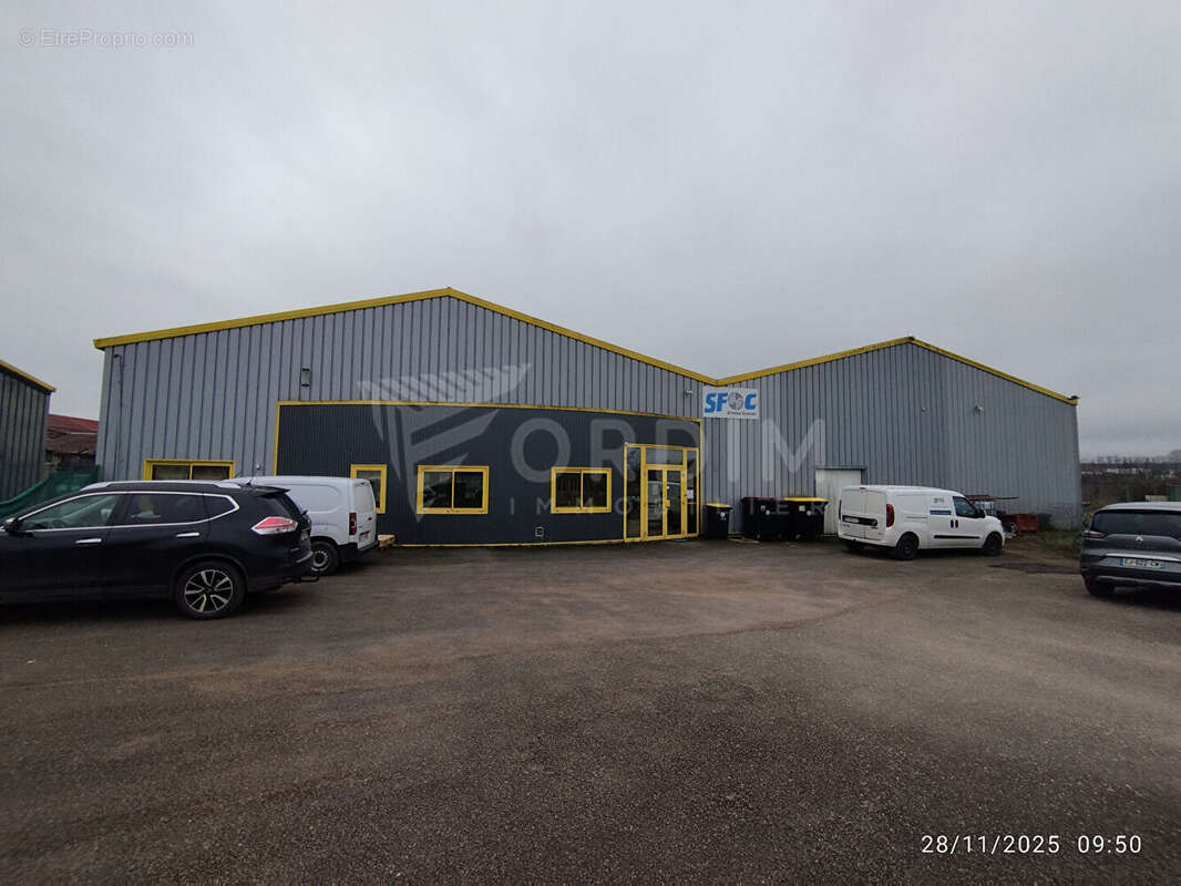 Commerce à MONETEAU