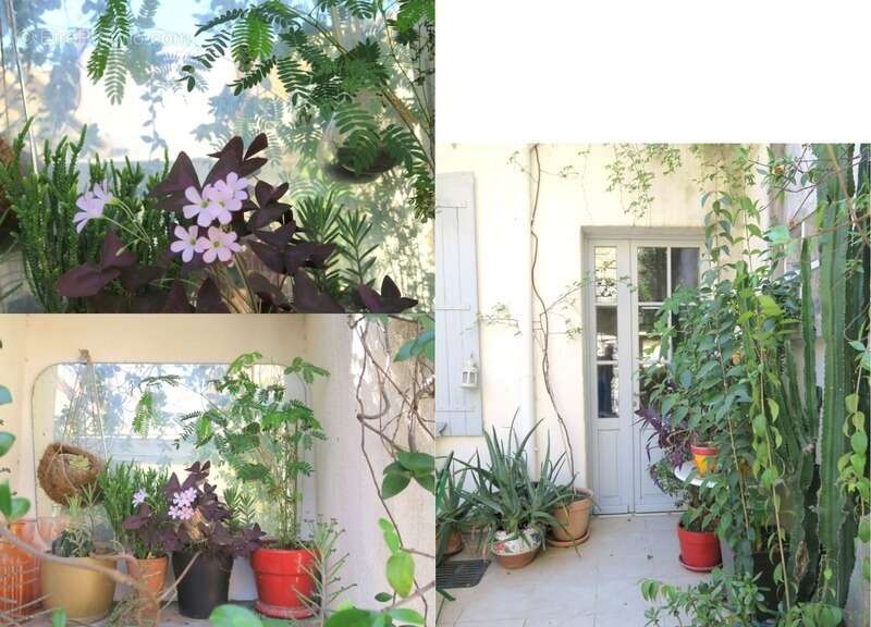 Maison à MARSILLARGUES