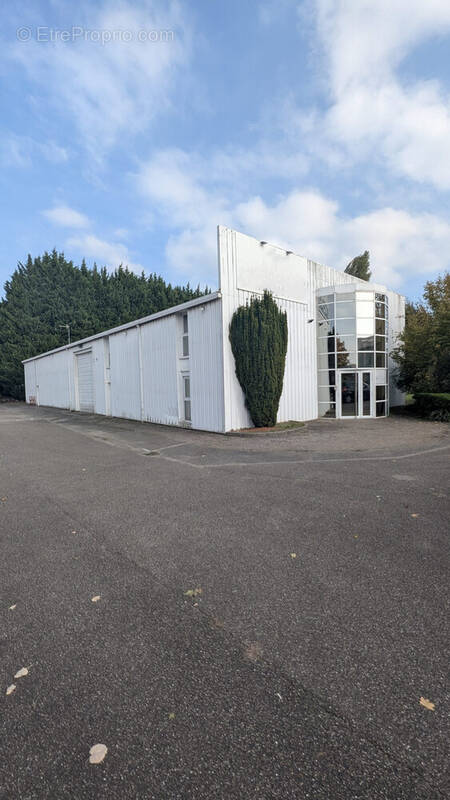 Commerce à NORDHOUSE