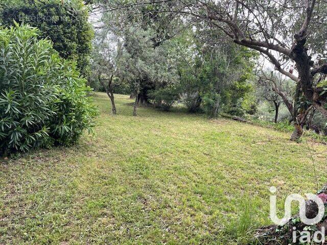 Photo 1 - Terrain à FLAYOSC