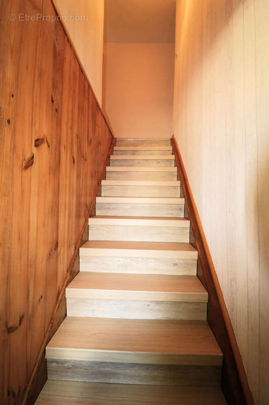 Très Belle Maison de Village entièrement rénovée sur terrain arboré, grandes dépendances, 2297m2 de terrain - photo 11