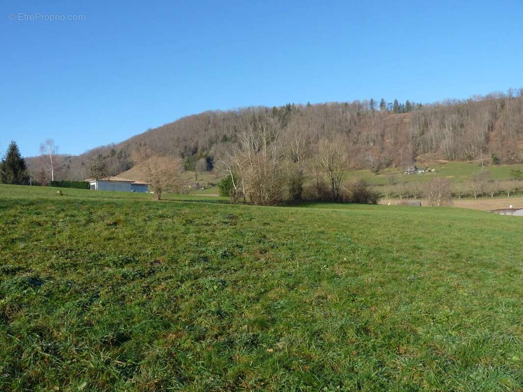 Terrain à SAINT-BUEIL