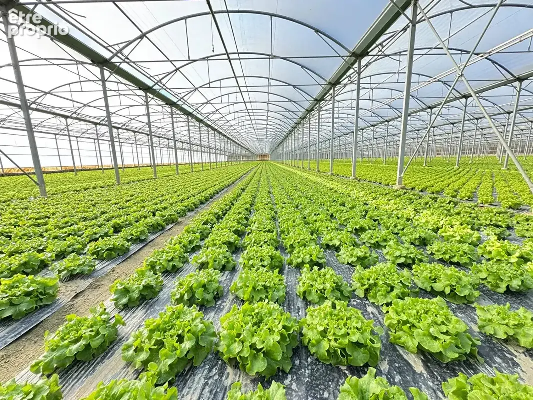 Domaine agricole Bompas 18 000 m2 - photo 4