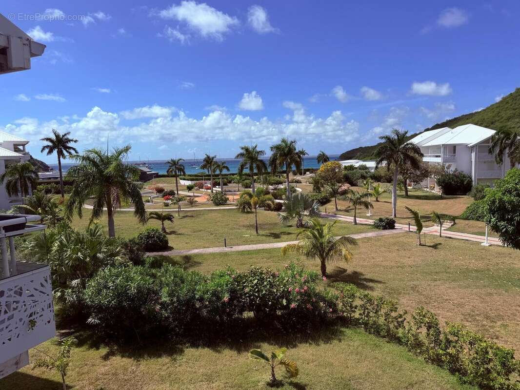 Photo 6 - Appartement à SAINT-MARTIN