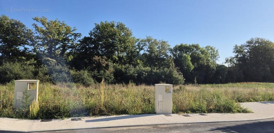 Terrain à PECQUEUSE