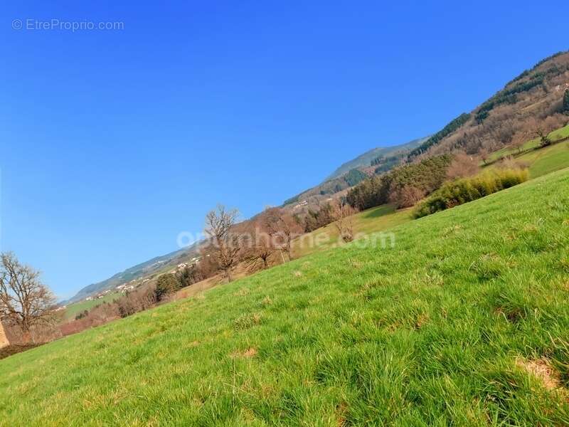 Terrain à AUGEROLLES