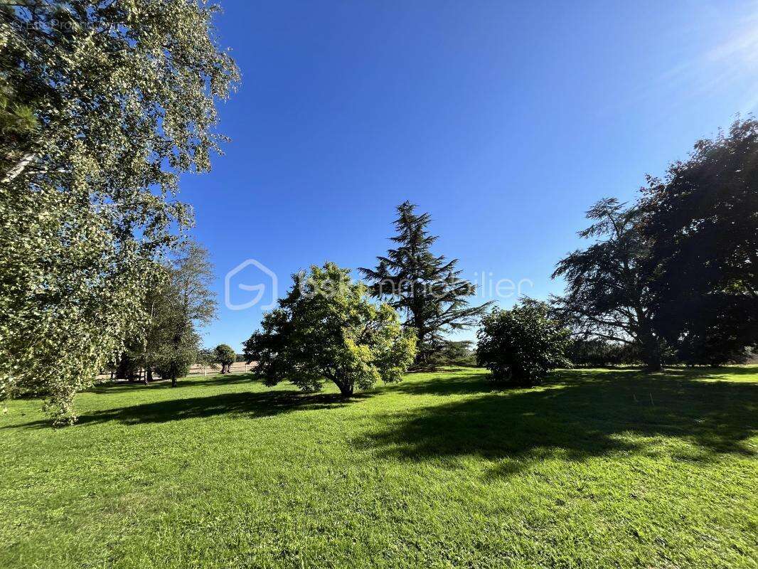 Maison à SAINT-MARTIN-DES-CHAMPS