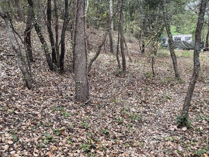 Terrain à MARQUIXANES