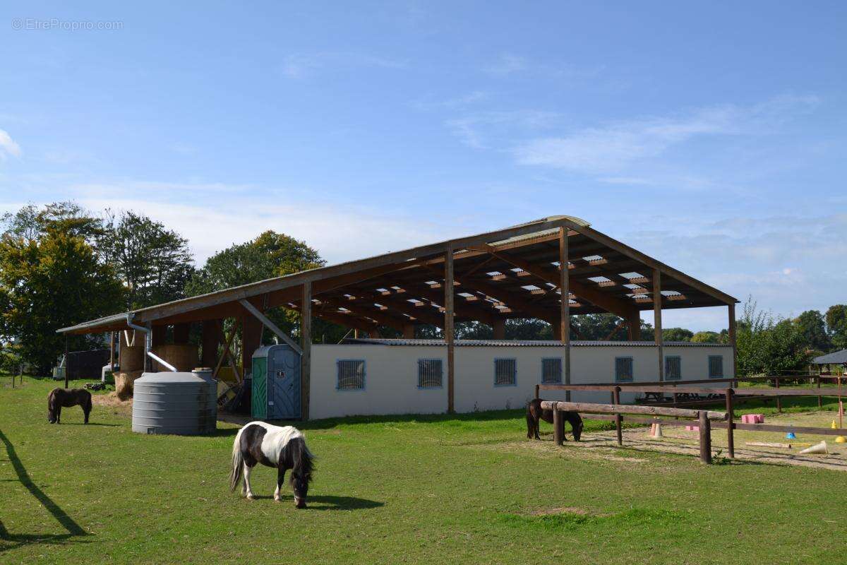 Maison à BLOSSEVILLE