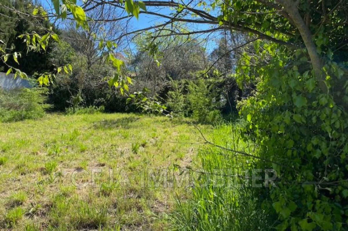 Terrain à DRAGUIGNAN