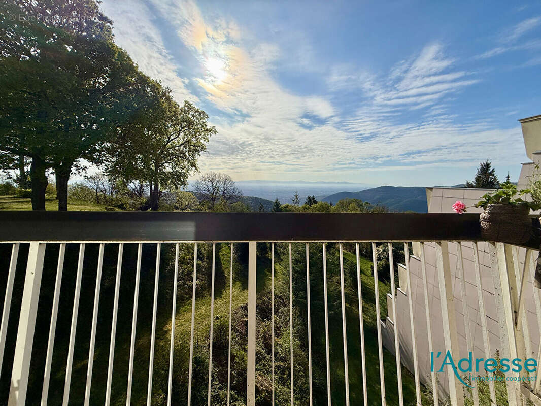 Appartement à TURCKHEIM