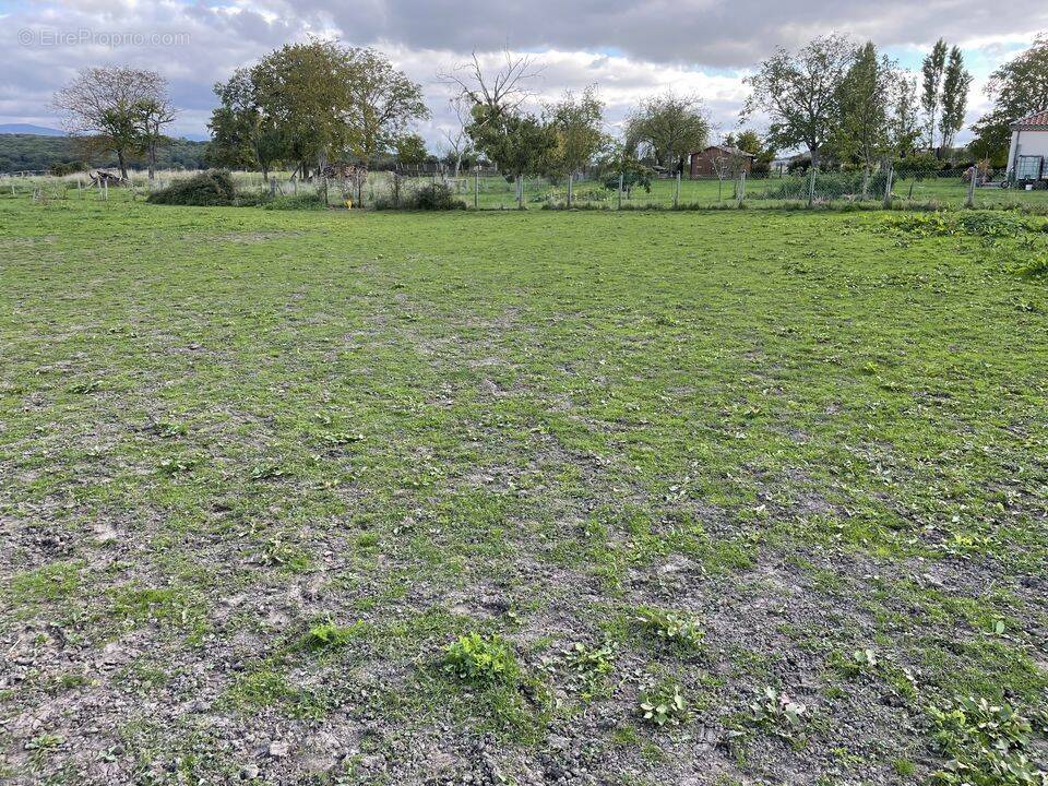 Terrain à BEAUMONT-LES-RANDAN