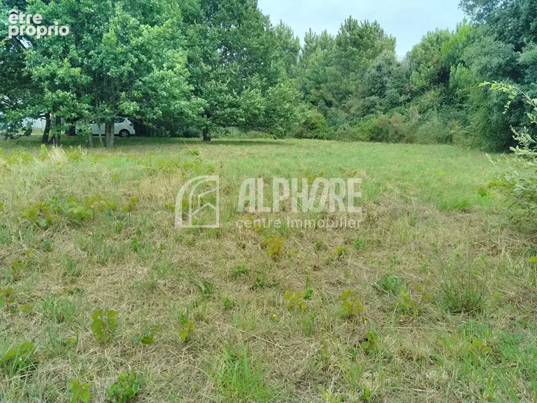 Photo Terrain à Saint-Brevin-Les-Pins au prix de 169 900€