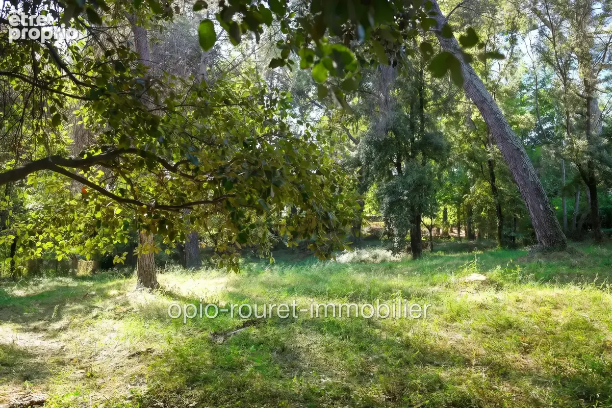 Terrain 1 694 m² à vendre à Roquefort-Les-Pins (06330) - photo 6