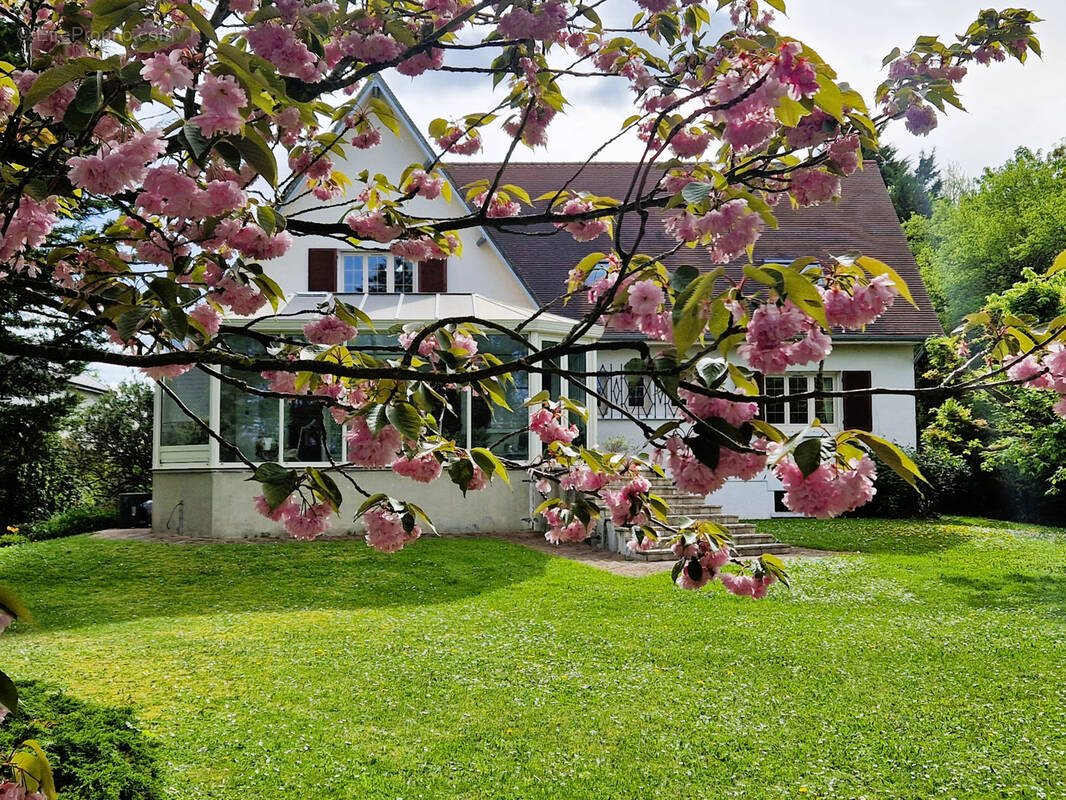 Maison à VILLENNES-SUR-SEINE