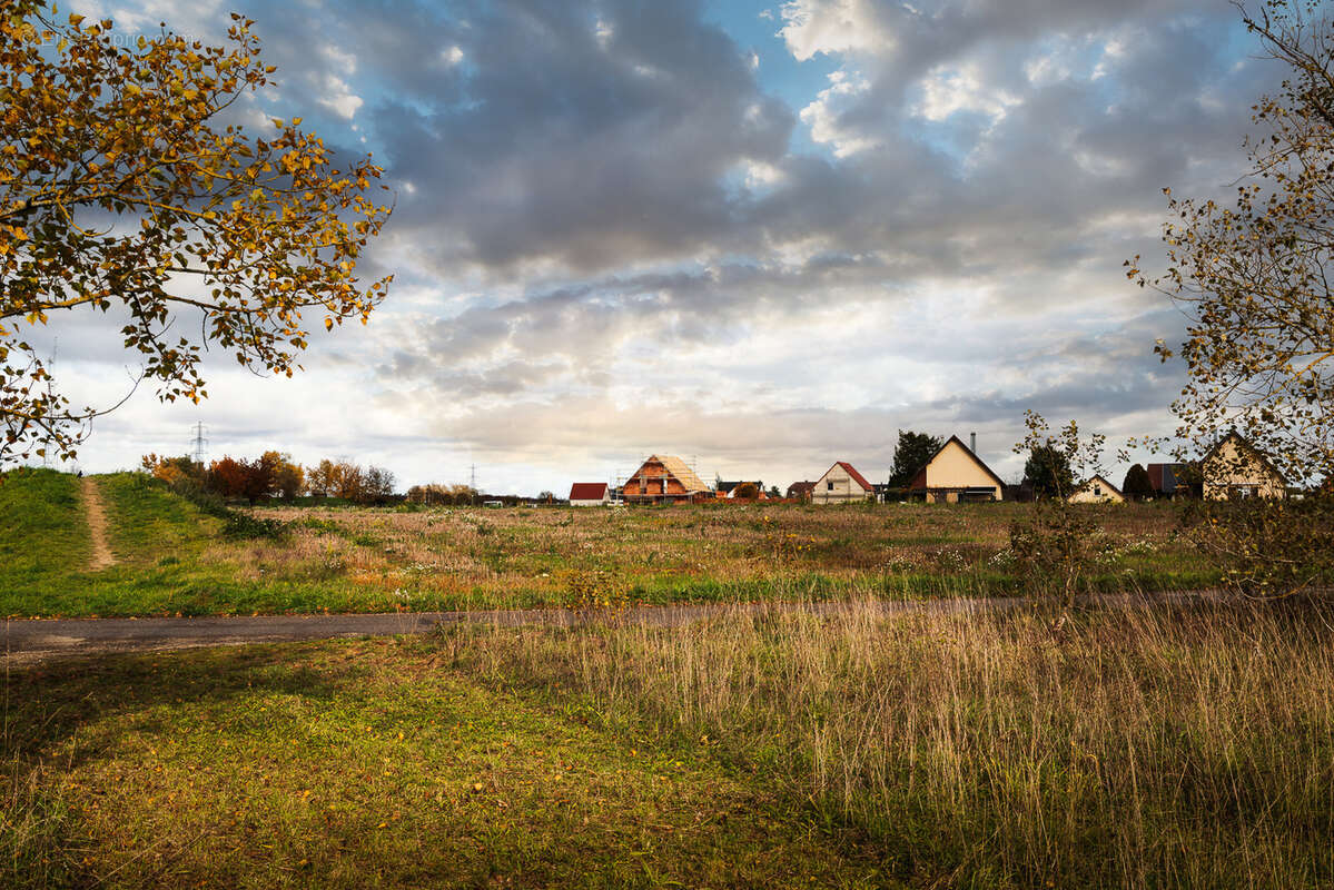 Terrain à NIFFER