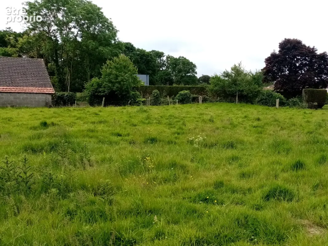 Terrain à VEULES-LES-ROSES