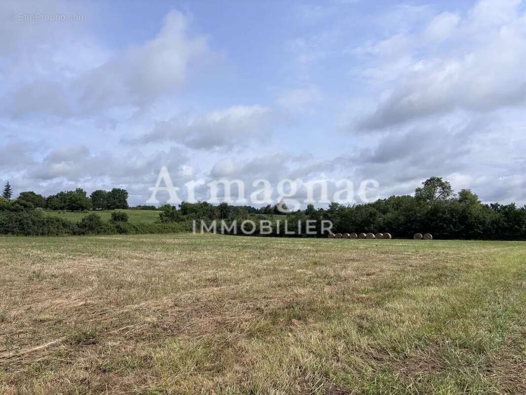 Terrain à VIC-FEZENSAC