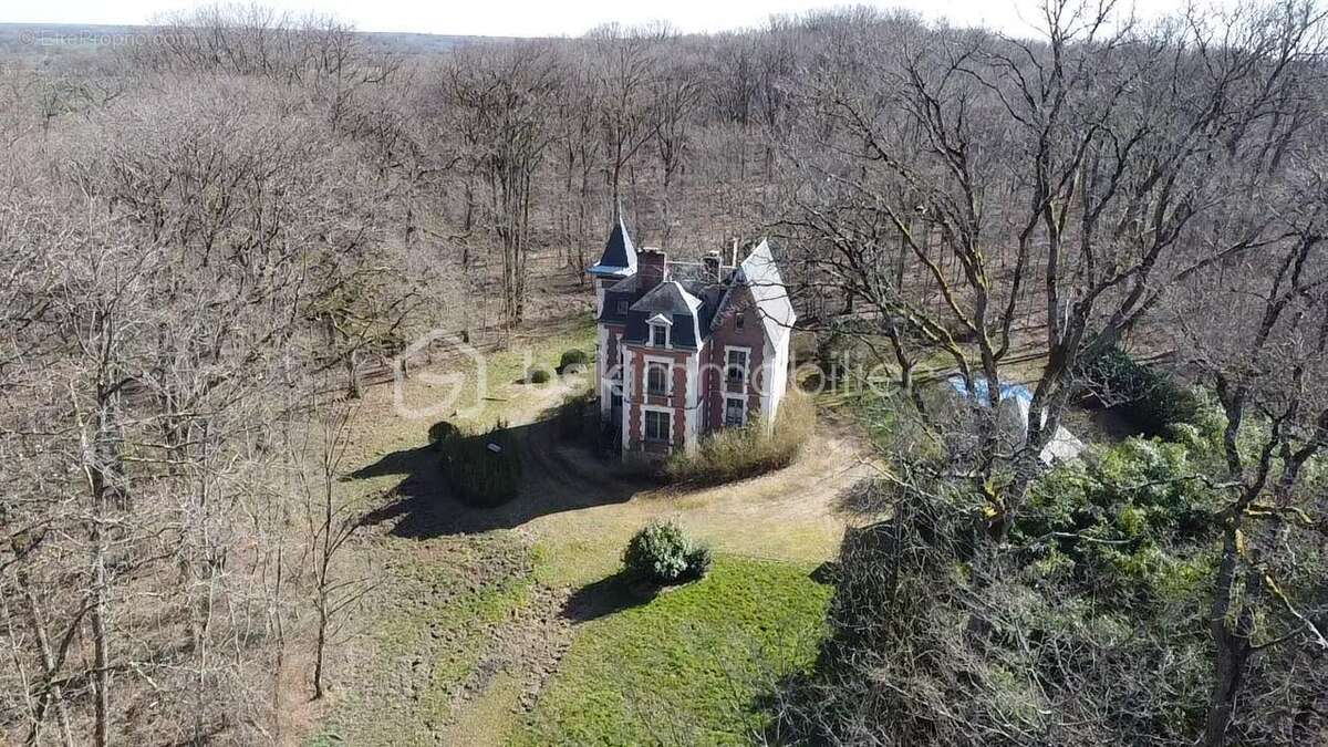 Maison à OUZOUER-SUR-TREZEE