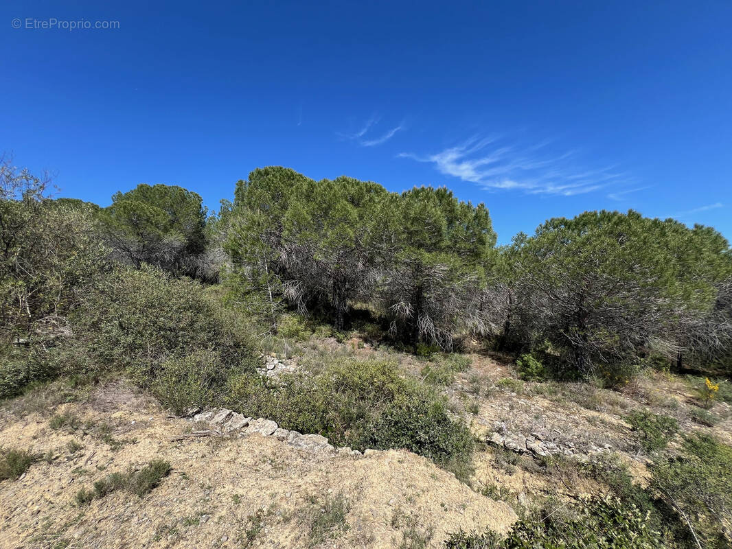 Terrain à LA LIVINIERE