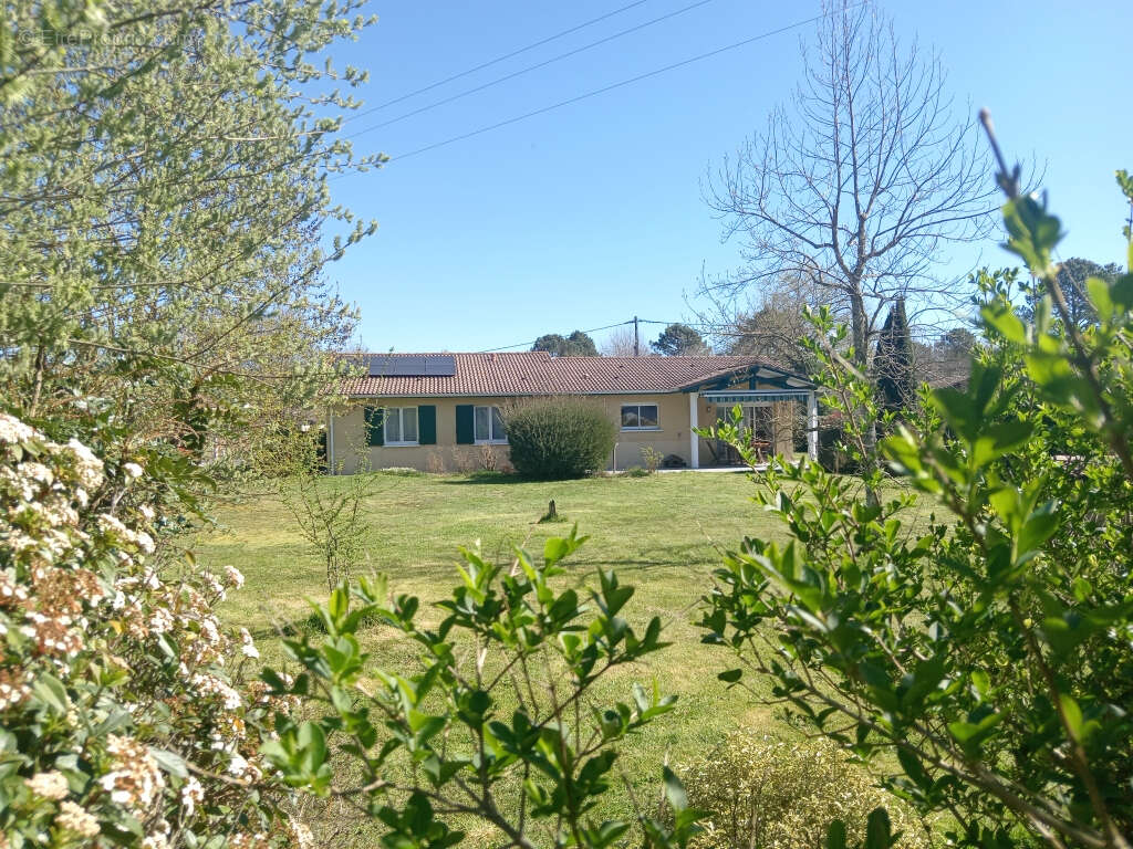 Maison à SALLES