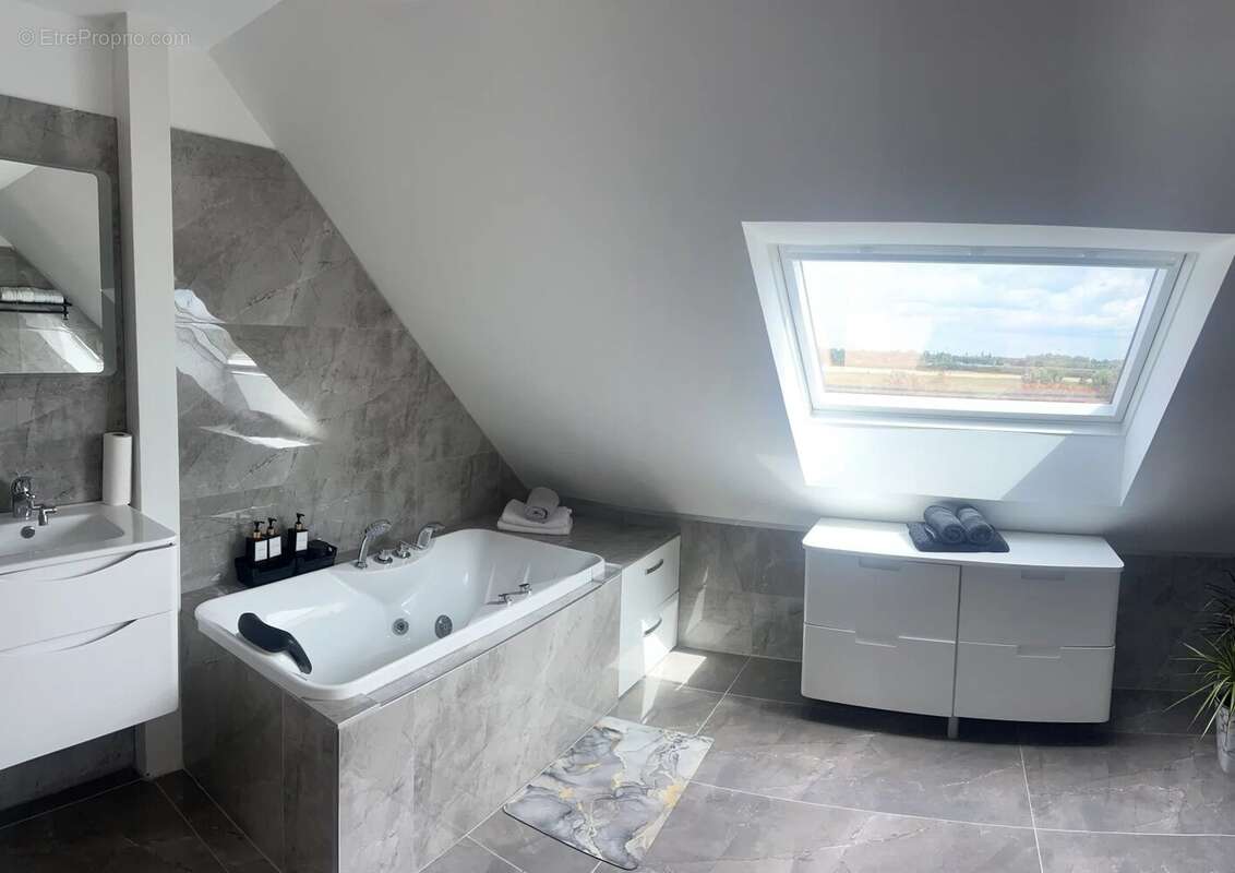 Maison 266 m² à Morschwiller-Le-Bas  - photo 7