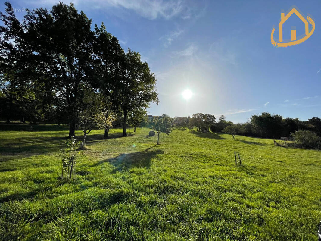 Terrain à SAINT-YORRE