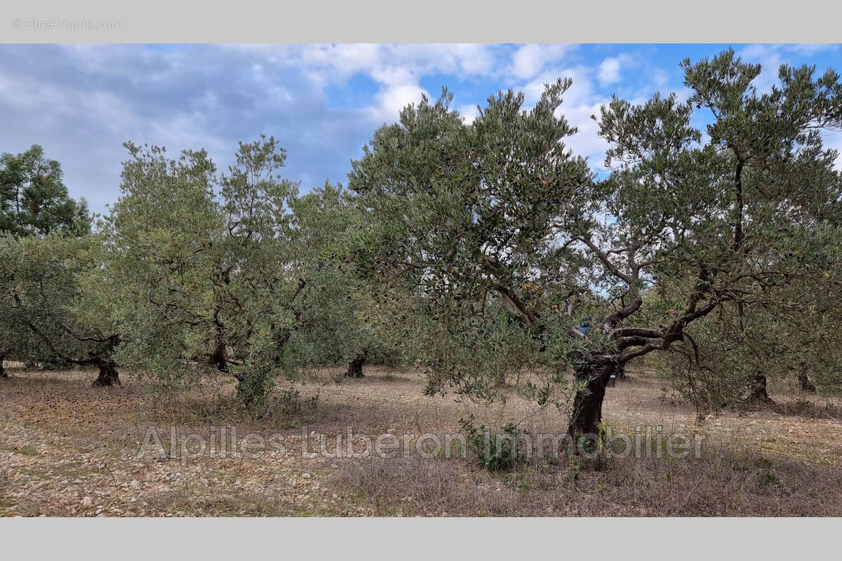 Terrain à EYGALIERES