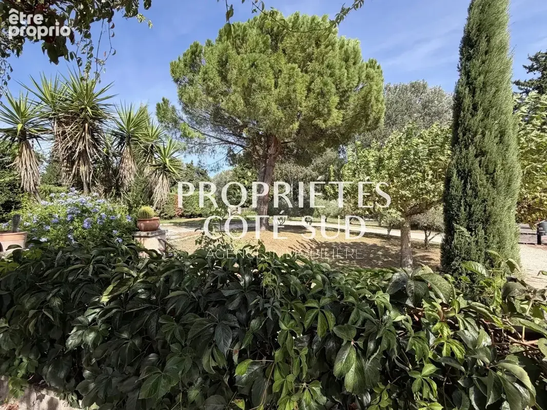 Avignon la barthelasse ensemble immobilier - photo 8