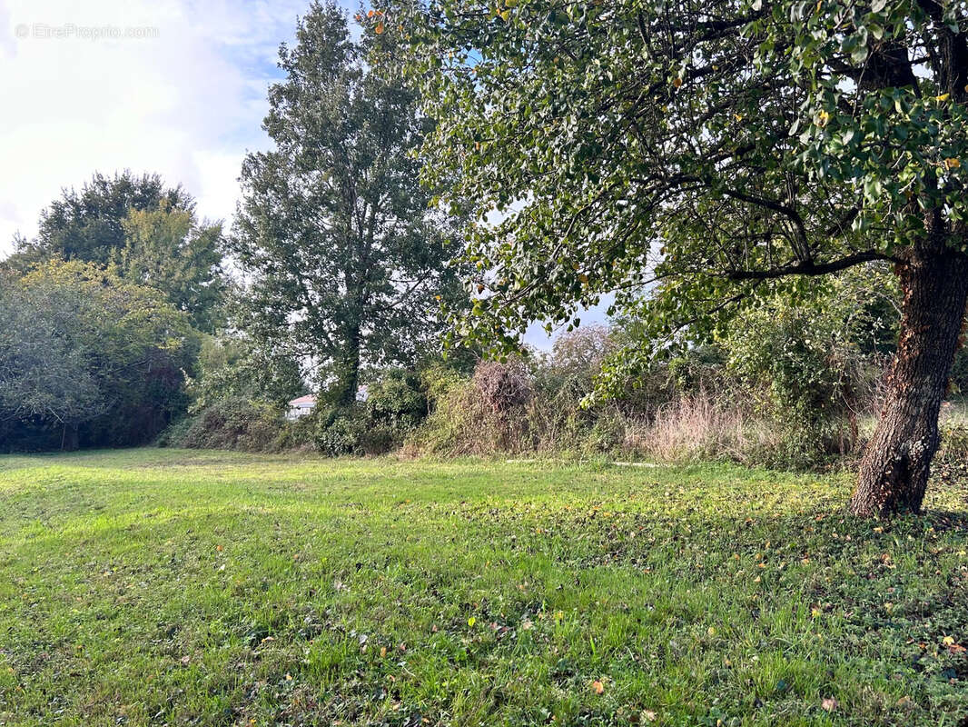Terrain à SAINT-ANDRE-DE-LIDON