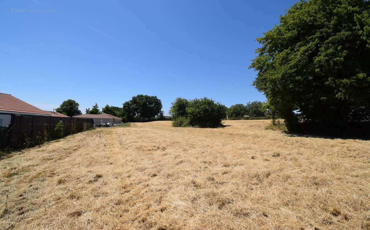 À VENDRE - Terrain constructible à ESPINASSE-VOZELLE - photo 4