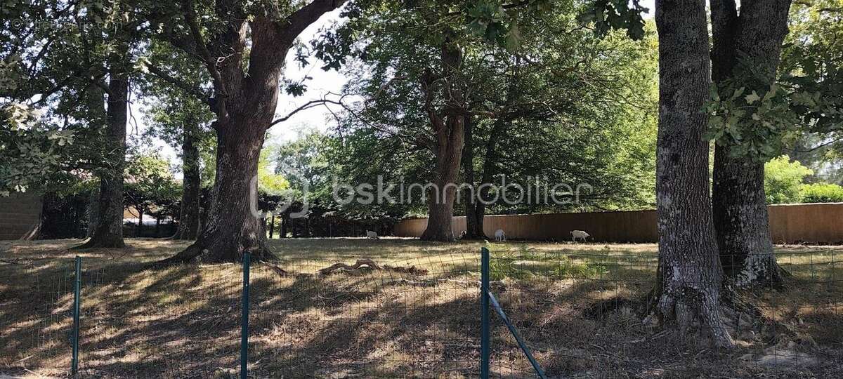 Superbe propriété de 190 m²  – Calme, piscine et nature aux portes de Dax - photo 17