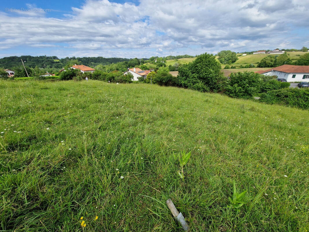 Terrain à BRISCOUS