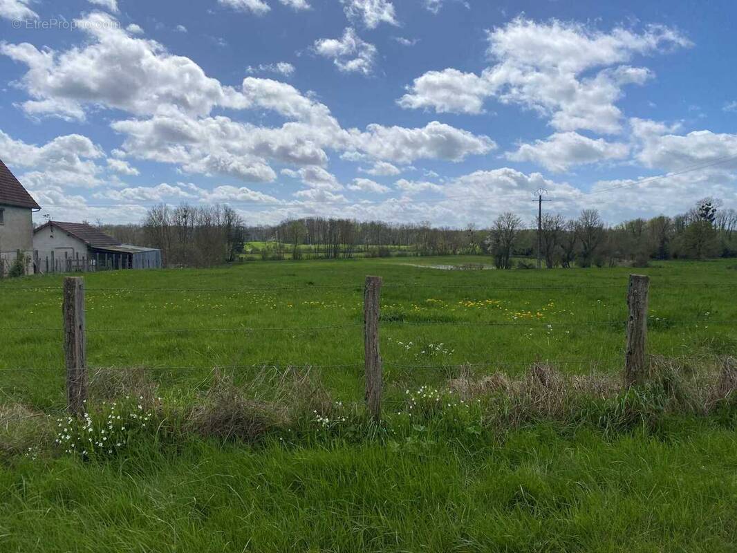 Terrain à LONGEVILLE-SUR-LA-LAINES