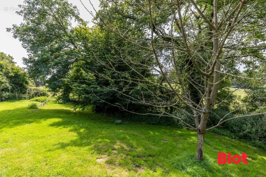 Maison 147 m² à Erce-Pres-Liffre  - photo 5