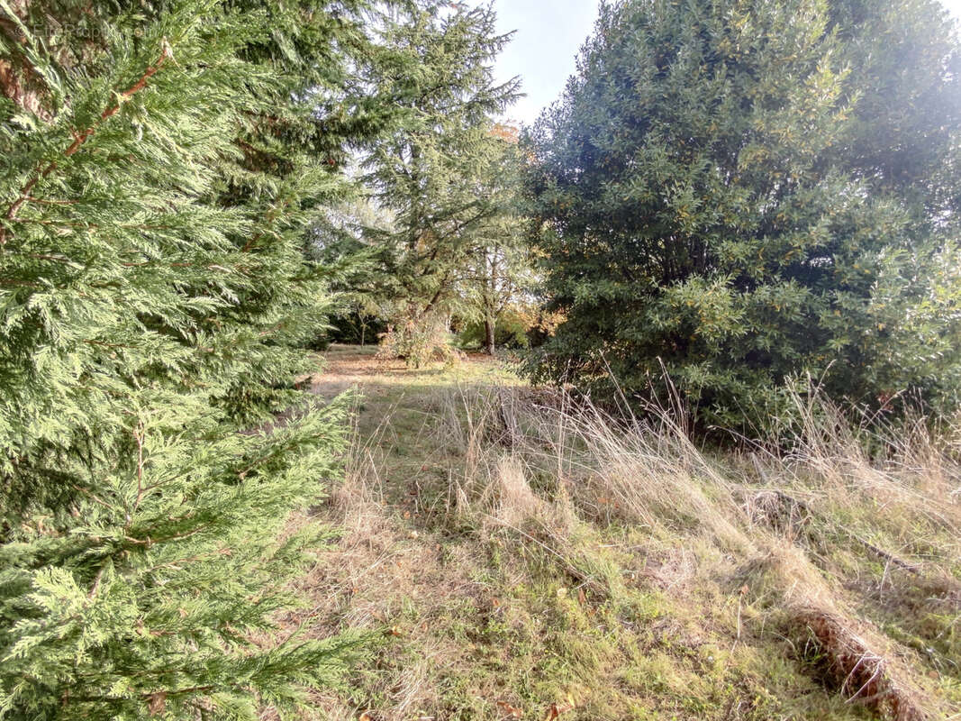 Terrain à SAVENNIERES