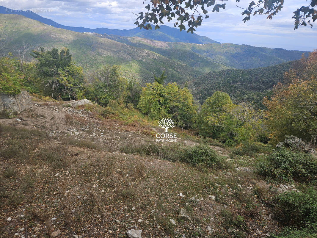 Terrain à PIETRASERENA