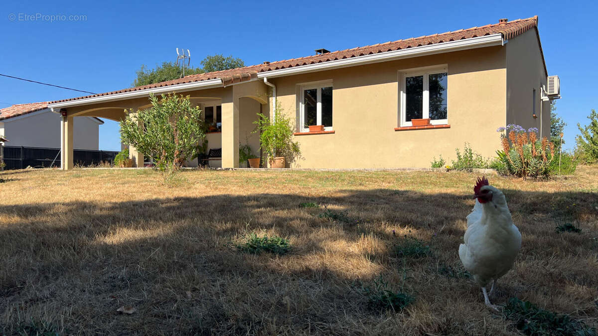 Maison Ste Foy De Peyrolieres 5 pièce(s) 112 m2 - photo 5