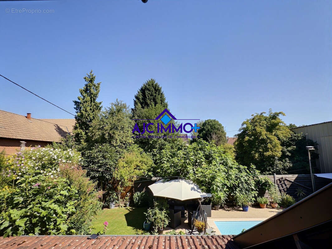 Maison 354 m² à Olwisheim  - photo 4