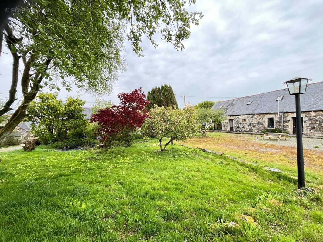 Photo 3 - Maison à LA CHAPELLE-NEUVE