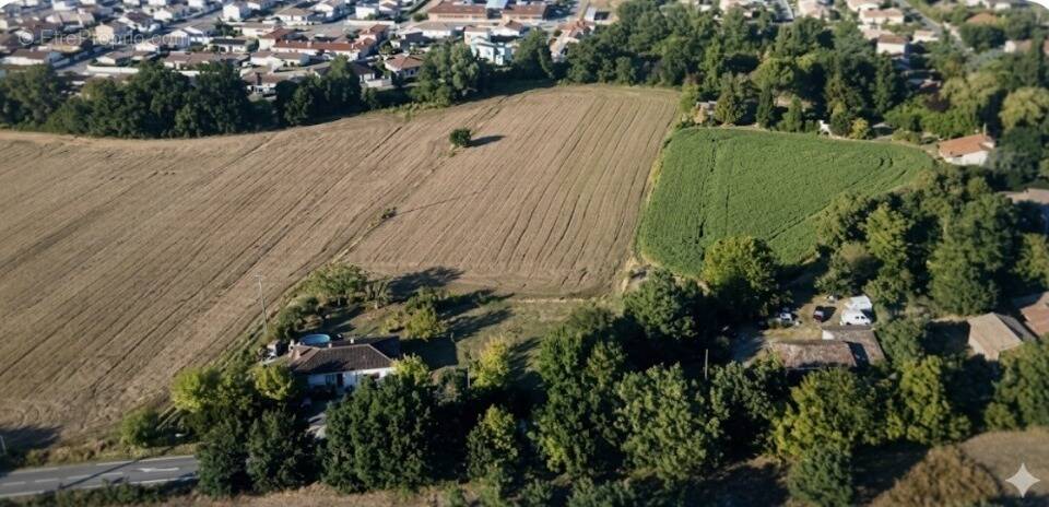 Terrain à LASSERRE