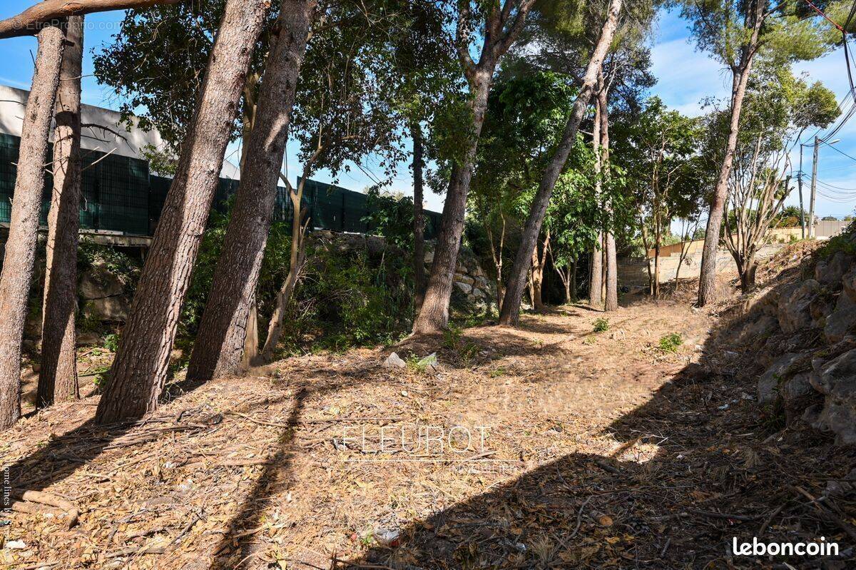 Terrain à LA CIOTAT