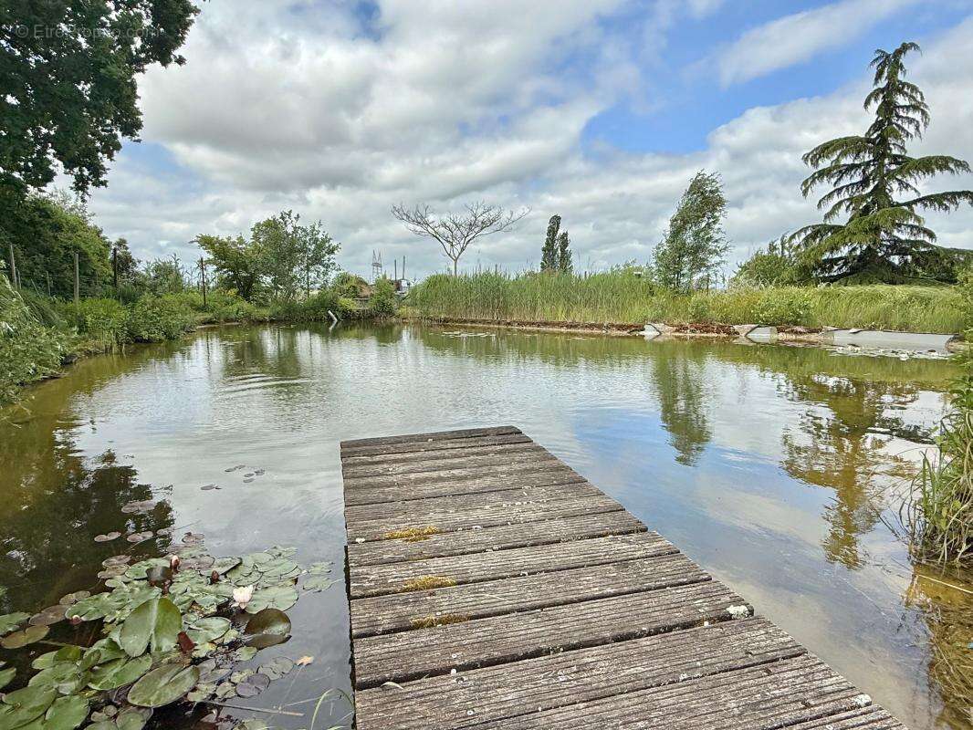 LONGERE DE CARACTERE de 500m² , 5000m² de terrain - photo 38