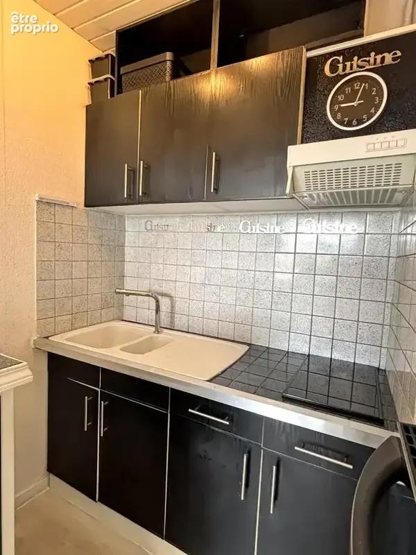 Appartement 33 m² à Grenoble  - photo 6