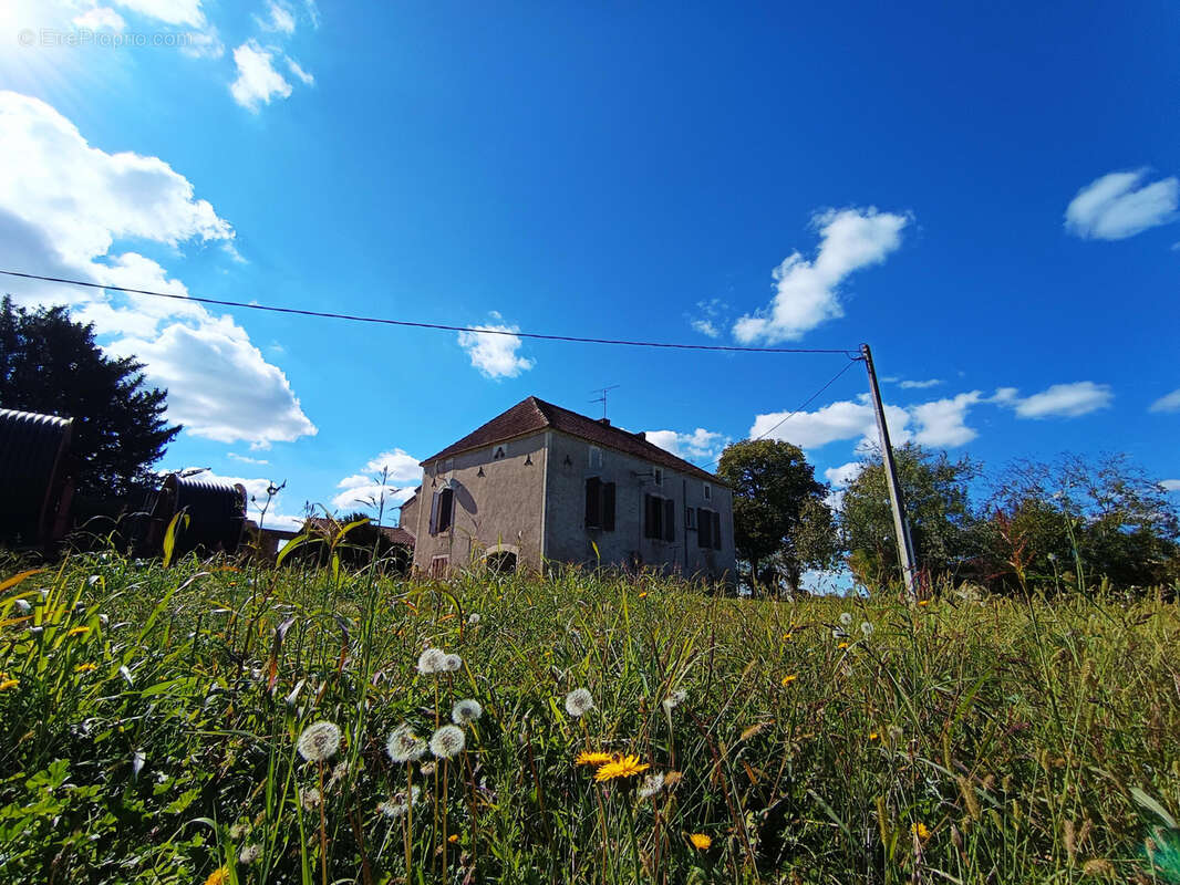 Maison à SAINT-VITE