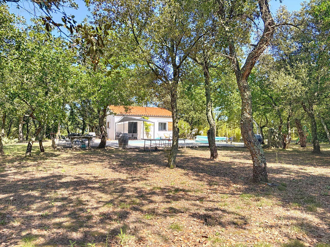 Maison à LAROQUE-DES-ALBERES