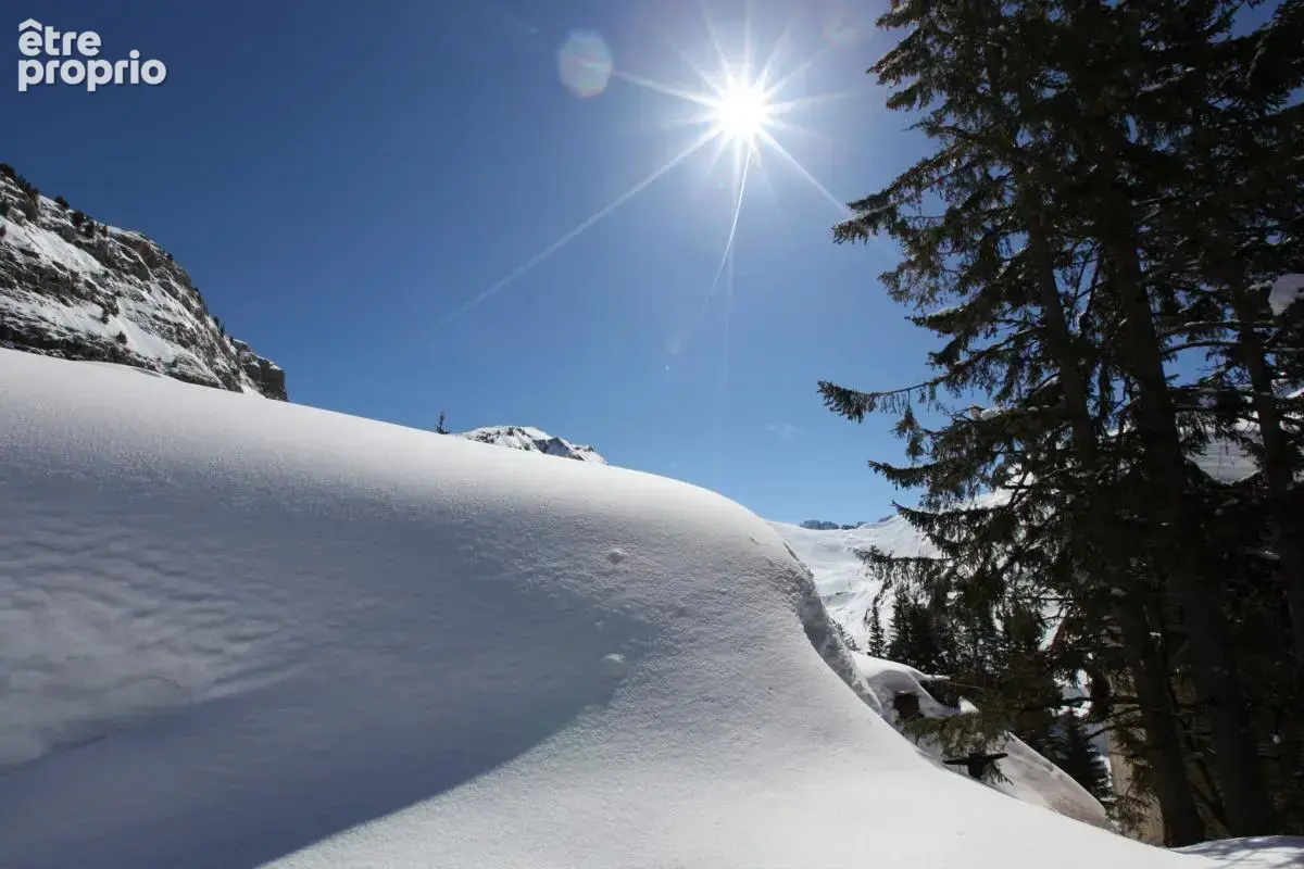 Chalet alaya noa - photo 9