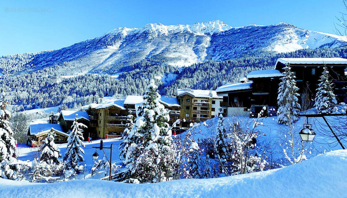 Commerce à LES AVANCHERS-VALMOREL